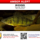 Illustration for article titled U.S. Fish And Wildlife Officials Release Photos Of Missing Perch